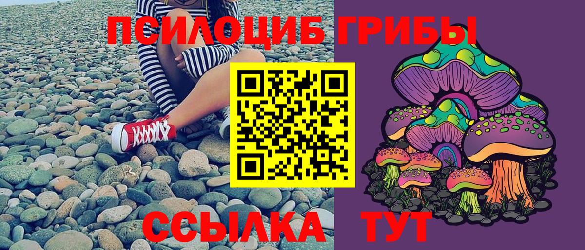 Мариинск  Галлюциногенные грибы Magic Shrooms  Вход с VPN 
